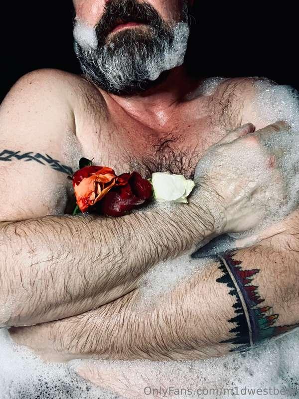 m1dwestbear image #8