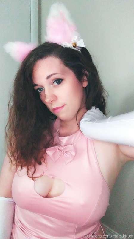 mars.kitten image #0