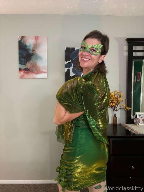 worldclasskitty image #1