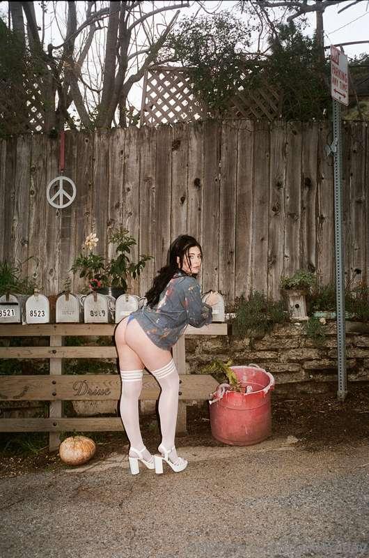 What should I ride first... your face or your cock? 🥵