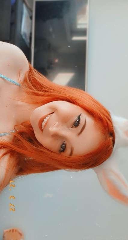 linzerfox image #2