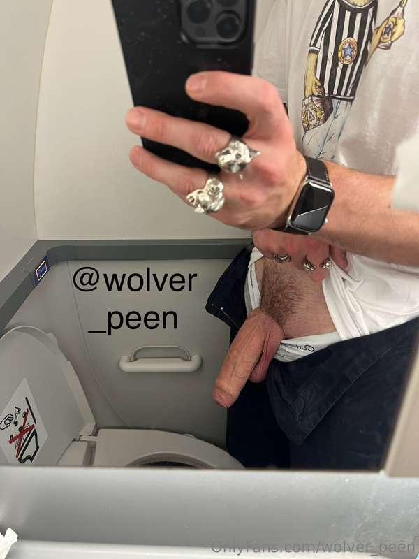 wolver_peen image #0