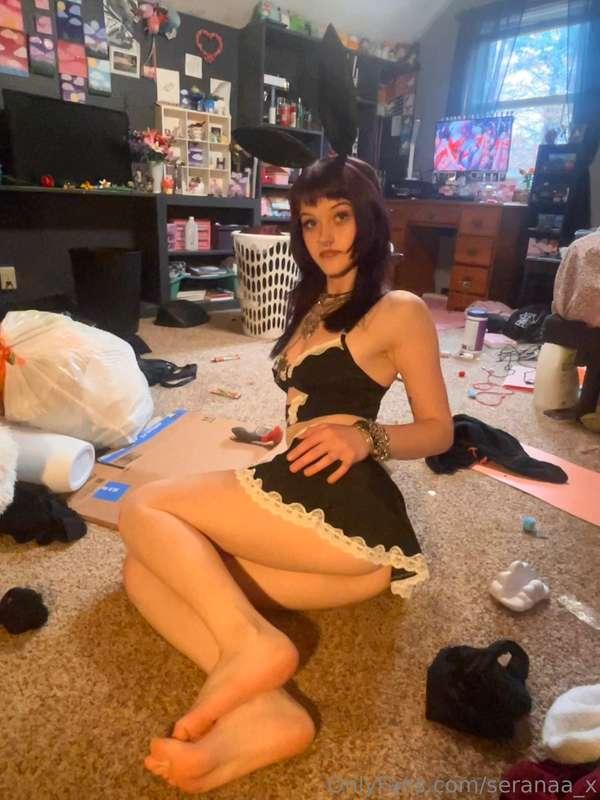wanna see a maid bunny girl fuck herself with a monster toy?..