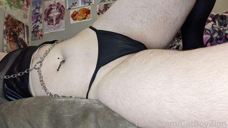 catboyzion image #9