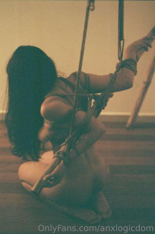 anxlogicdom image #1