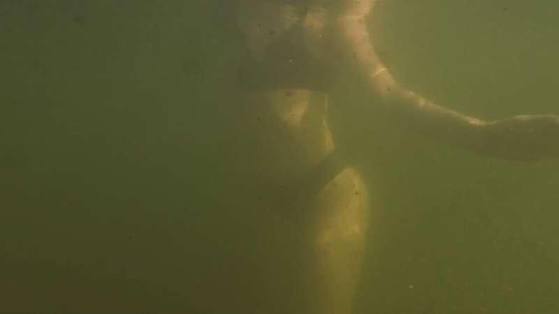 Marie C - In the lake :BTS