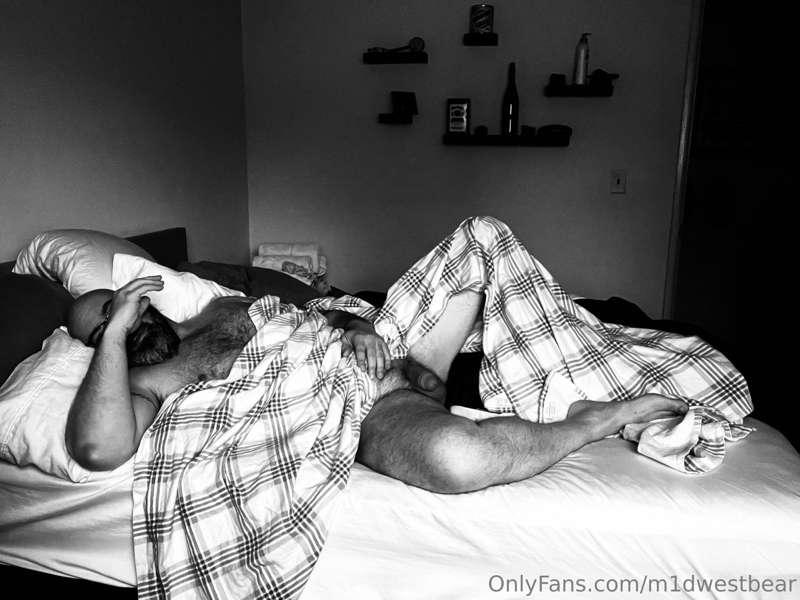 m1dwestbear image #7