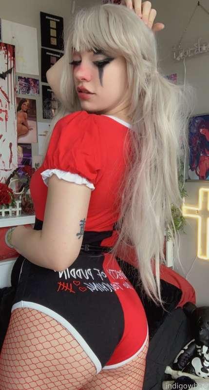 indigowhite image #34