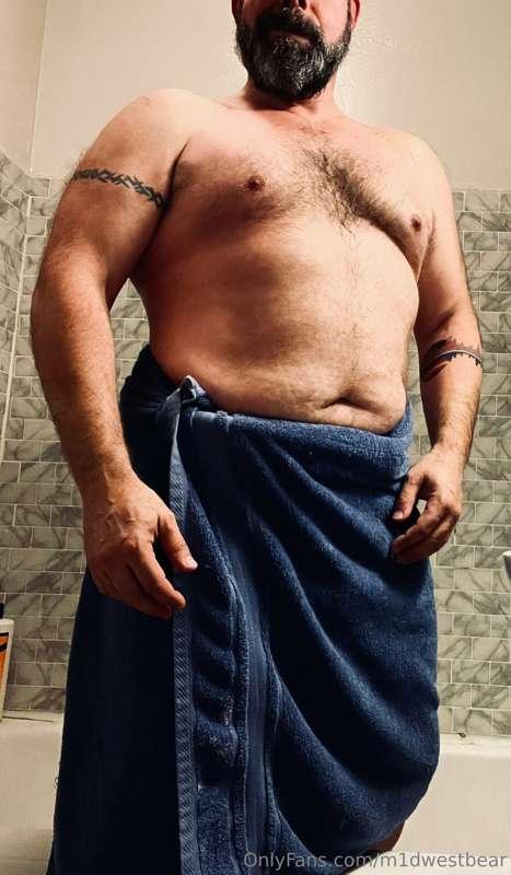 m1dwestbear image #1
