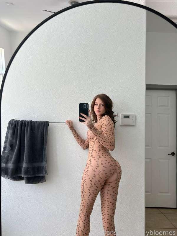 Msfiiire image #2