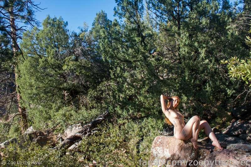 Find me where the wild things are 🌲🌲🌲