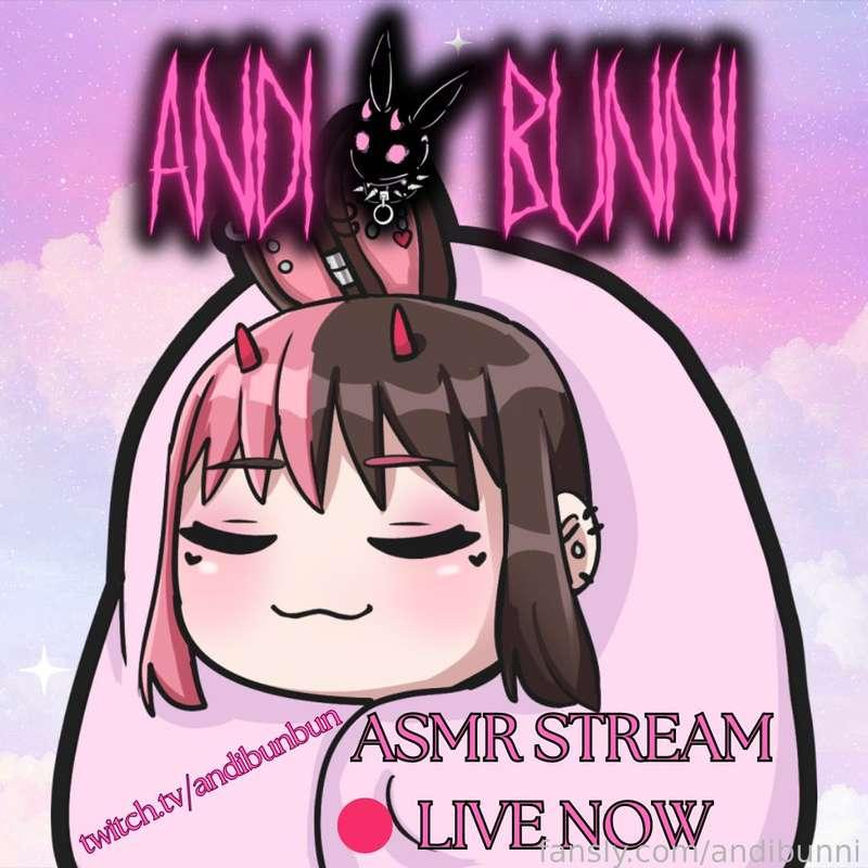 andibunni image #0