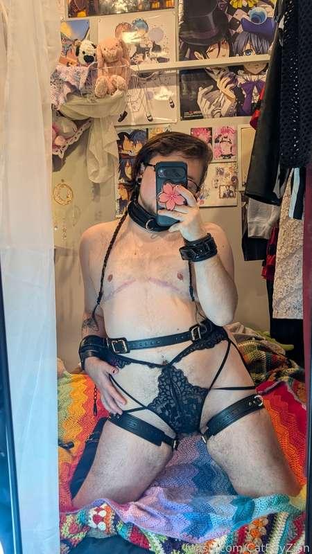 catboyzion image #5