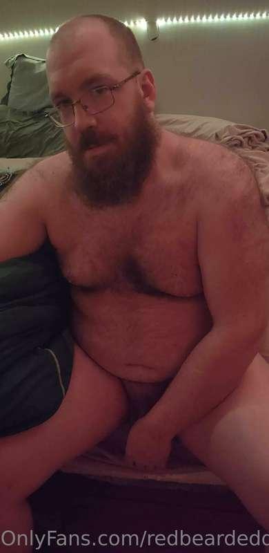 redbeardeddragon image #4