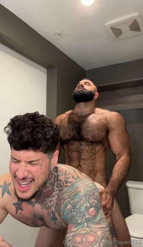 alphatopwolf22 image #30