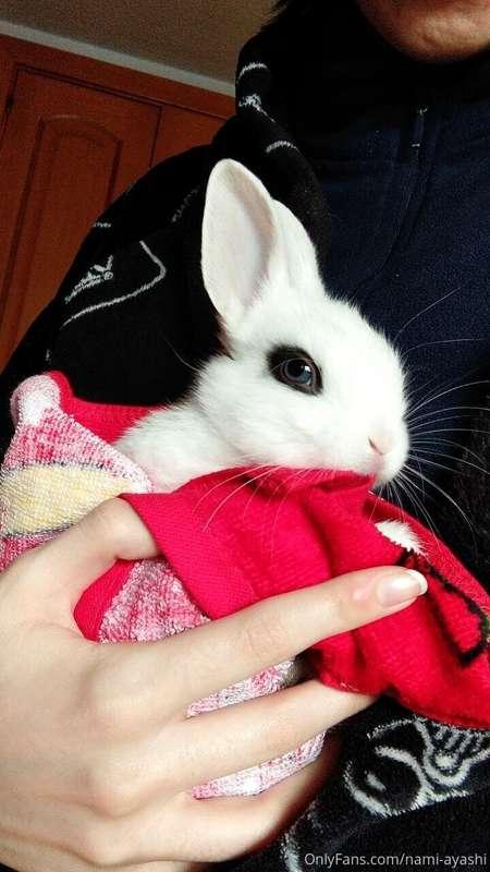 Say hi to our new family member... My little bunny ! His nam..