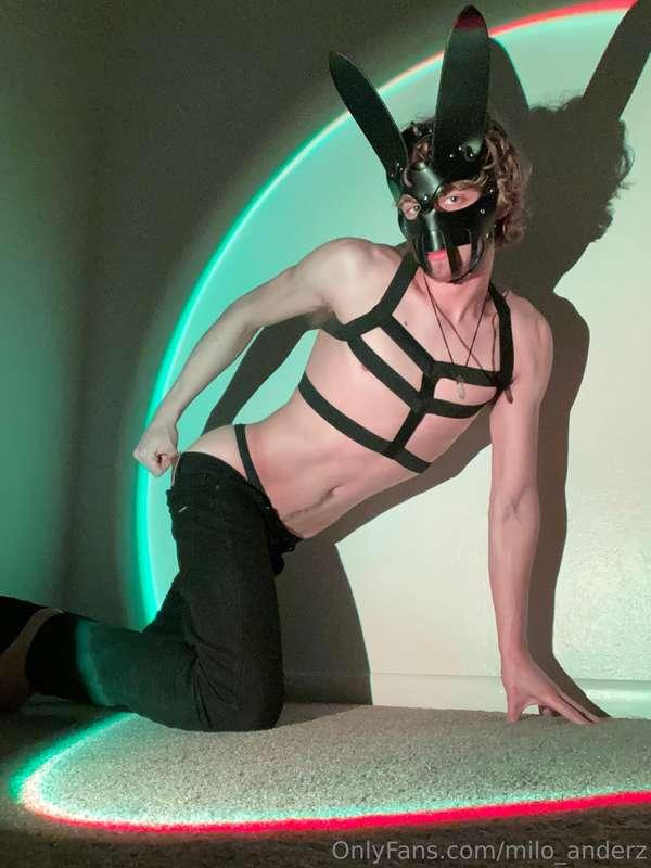 💐 Happy Easter 💐
Let’s see if we can fuck like rabbits 😈
(Ru..