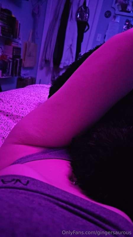 gingersaurous main image