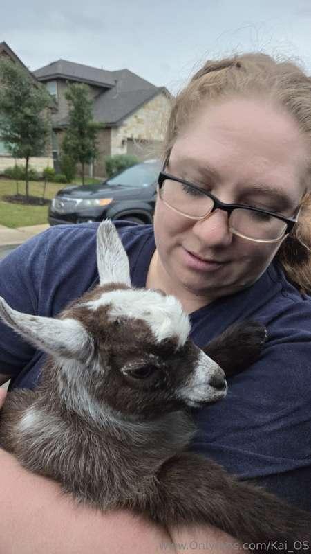 My brothers baby Goats Gucci and Prada. There twins!