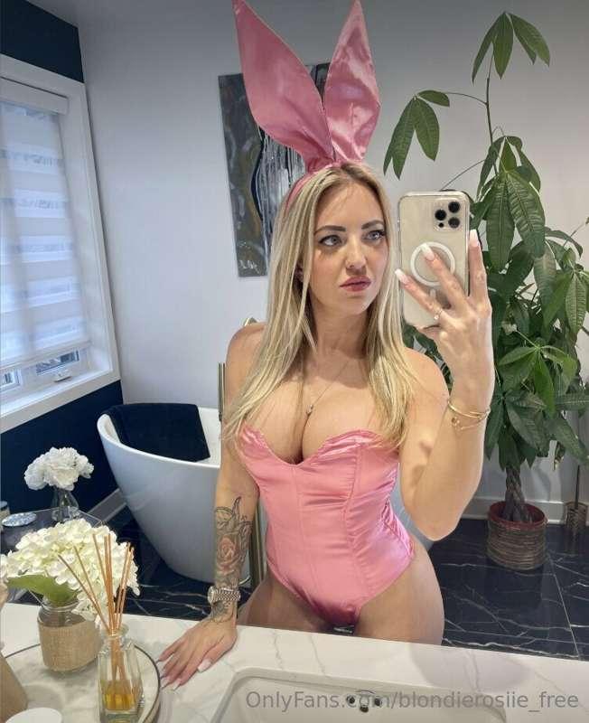 Can I be your bunny?
