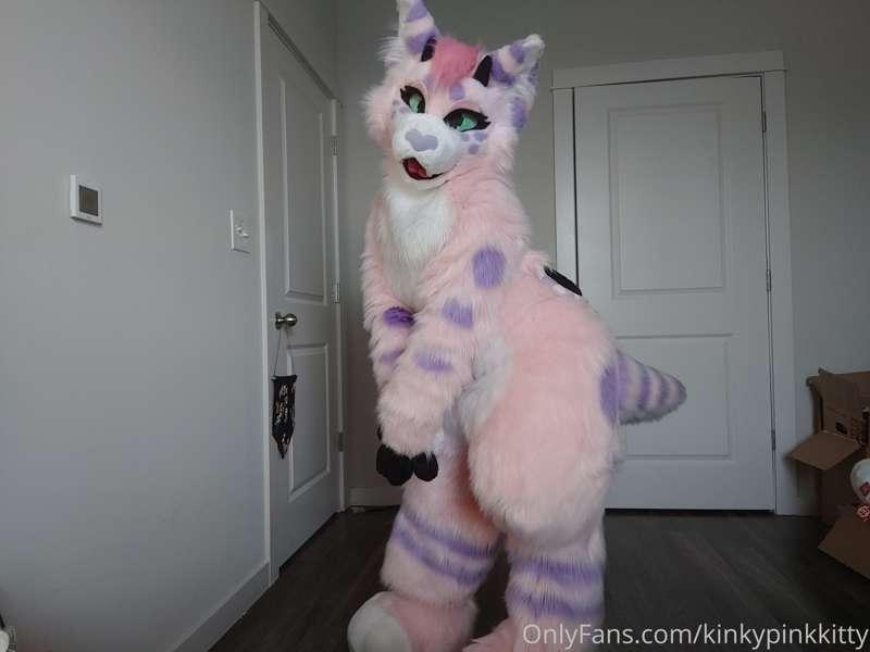 Im totally nude under my fursuit... Wanna see me unzip and s..