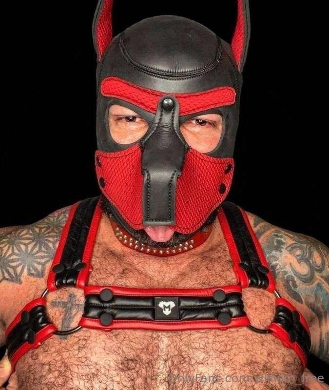 william_free image #1