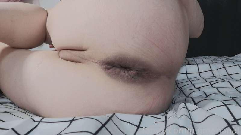 pigmananal image #14