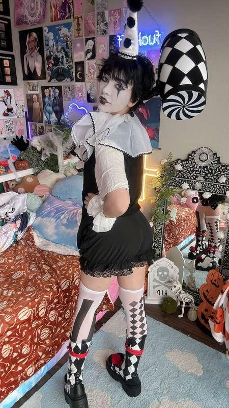 indigowhite image #46