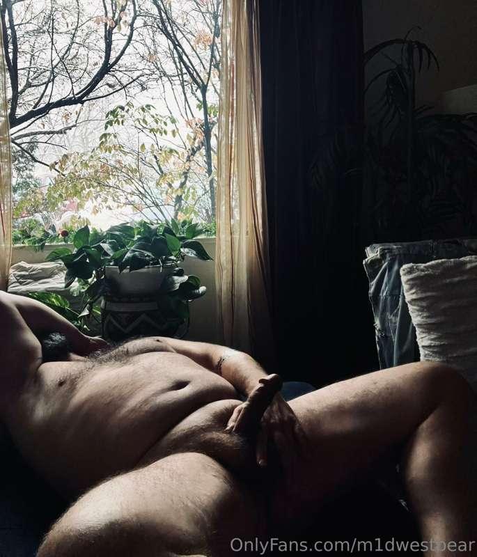 m1dwestbear image #17