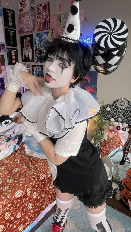indigowhite image #39