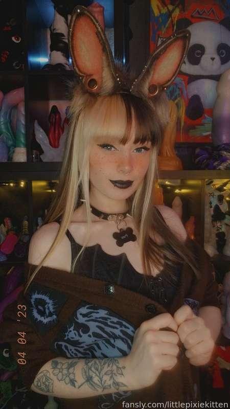 littlepixiekitten image #10