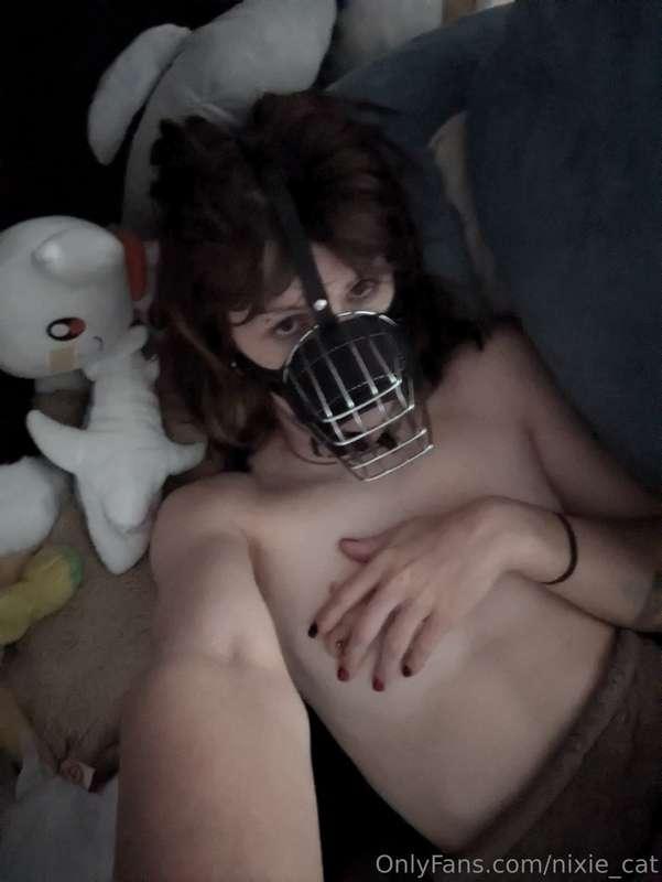 what do you think, do I look good in my muzzle?