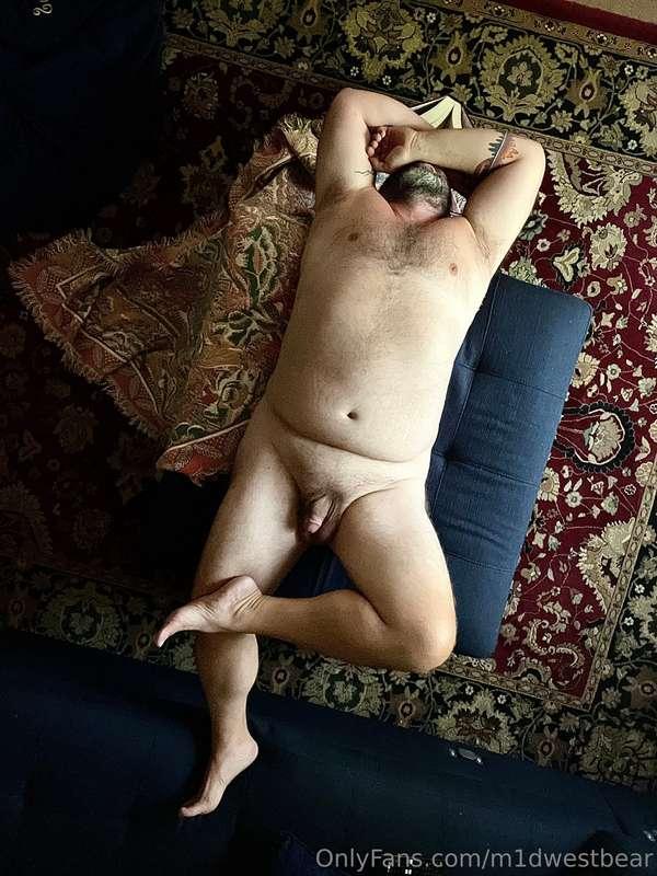 m1dwestbear image #1