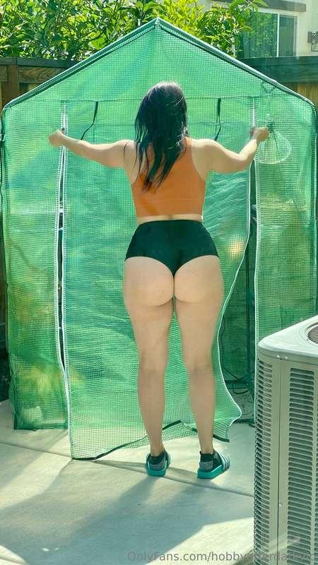 Do you think these shorts are eating my ass too much? 