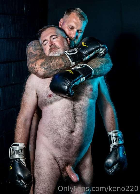 Boxing Bears - gallery 2 - shoot with @u146245645