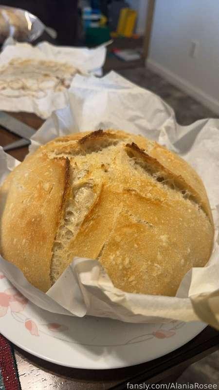 alaniarosee image #2