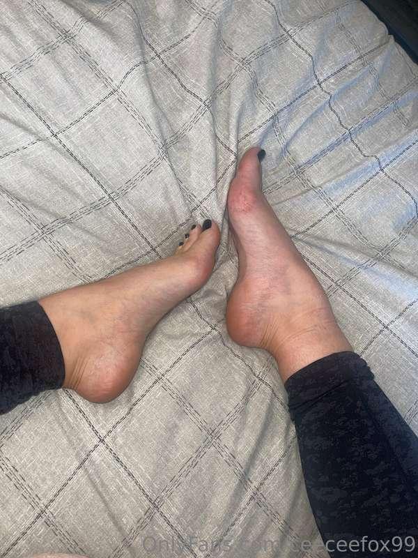 ceeceefox99 image #0