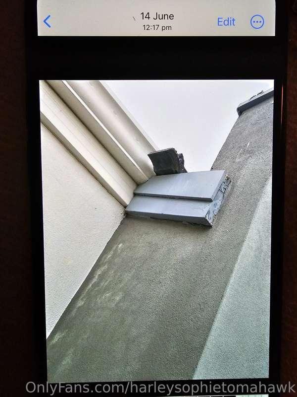 harleysophietomahawk image #8