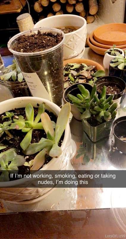 Just fyi