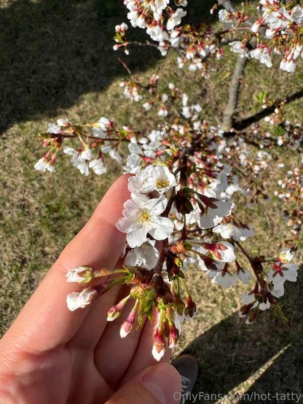 There’s something about flowers blooming that makes me feel ..