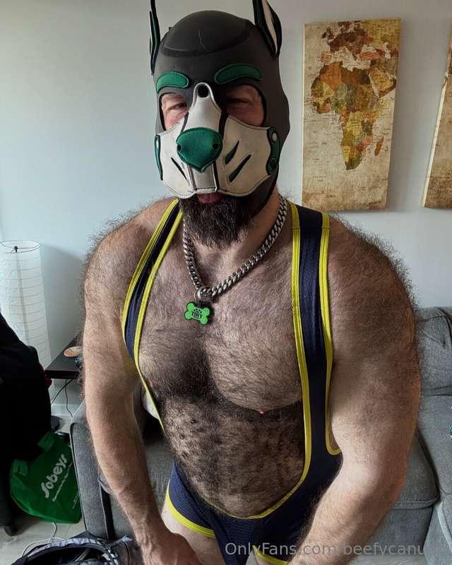 Muscle puppy tiddies