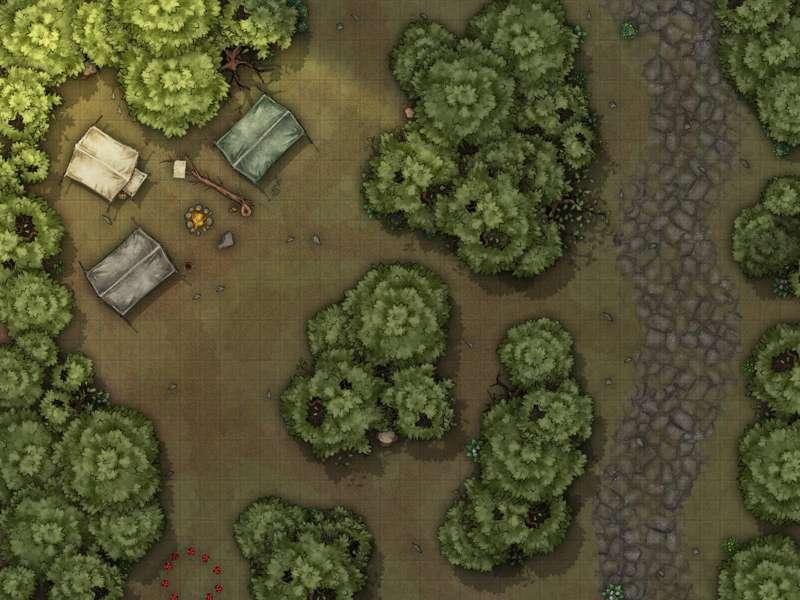 Forest Camp