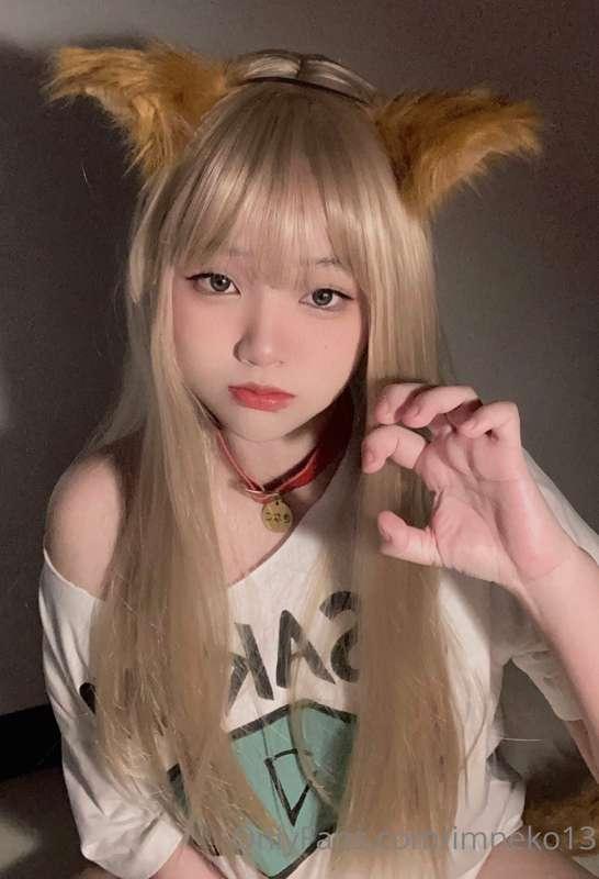 imneko13 image #1