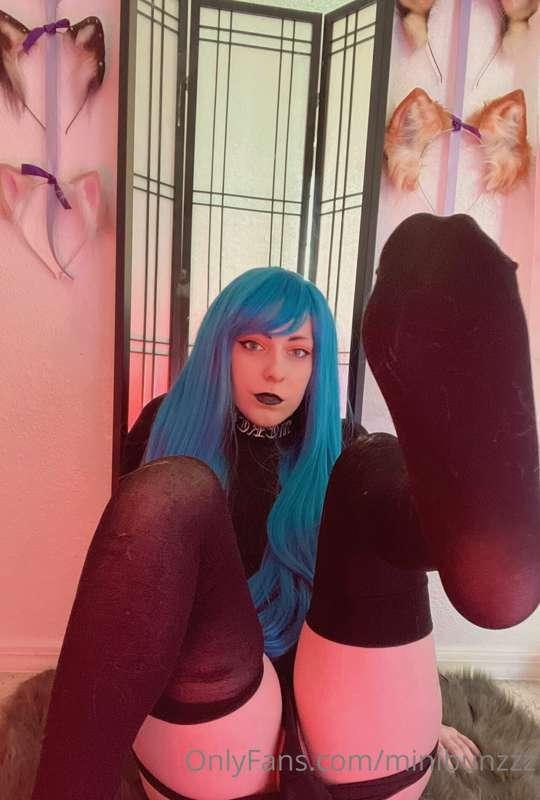 Here kitty kitty~