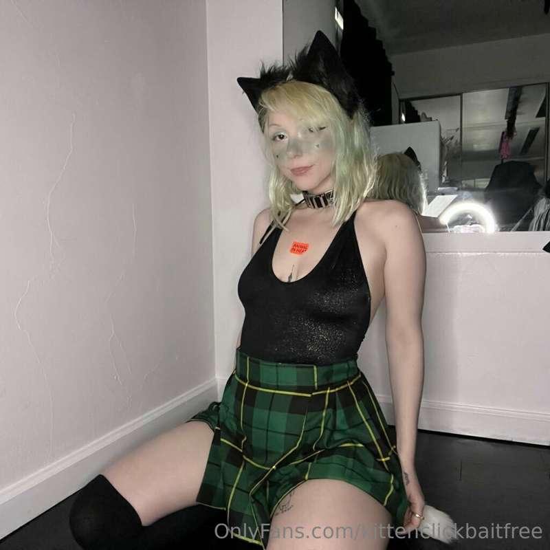 Happy st paddys from your favorite kitty