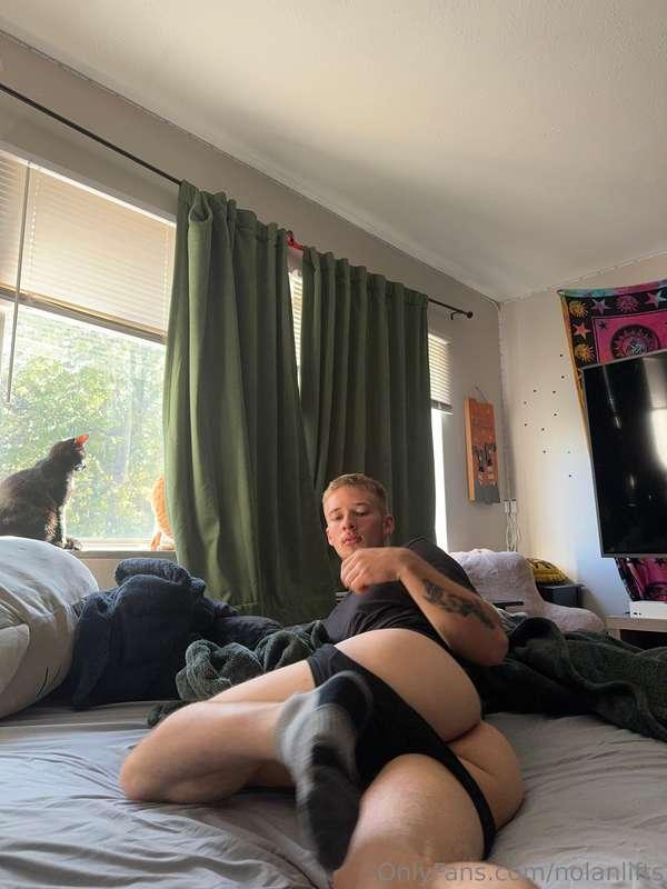 More ass you say? 