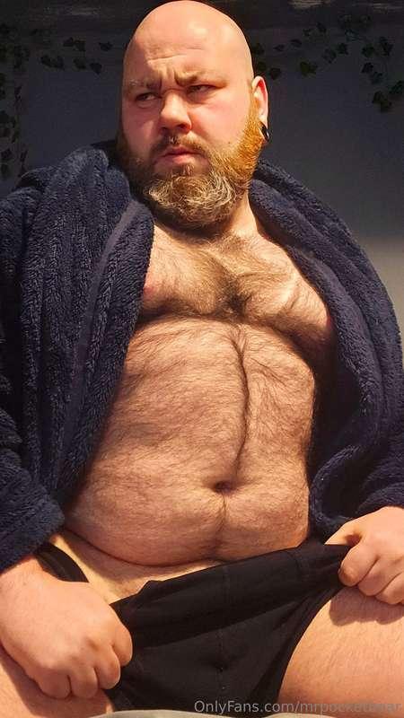 mrpocketbear image #0