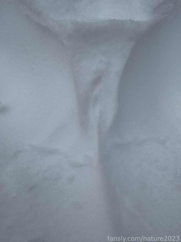 nature2023 image #0