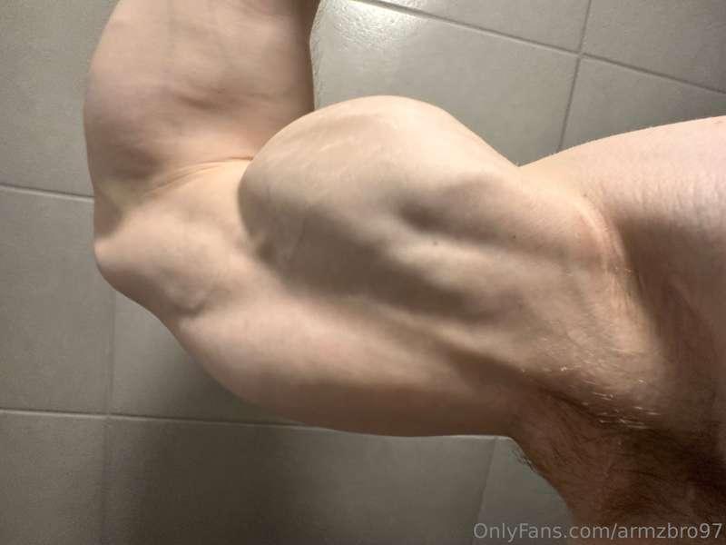 armzbro97 image #5