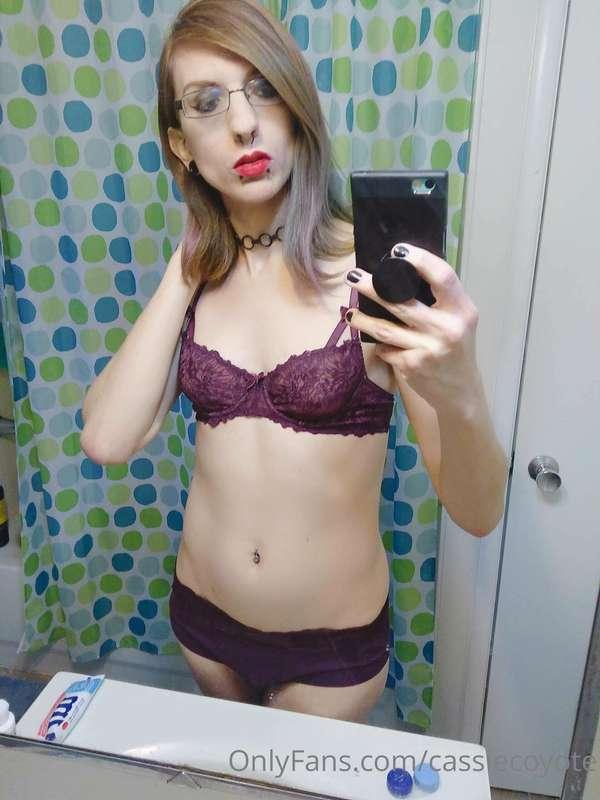 cassiecoyote image #0